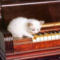 Learning the piano