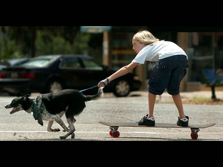 Skateboarding the easy way - street, car, child, leash, skateboard, dog running