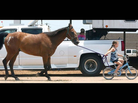 Walking the horse - road, ute, bicycle, horse, child, lead