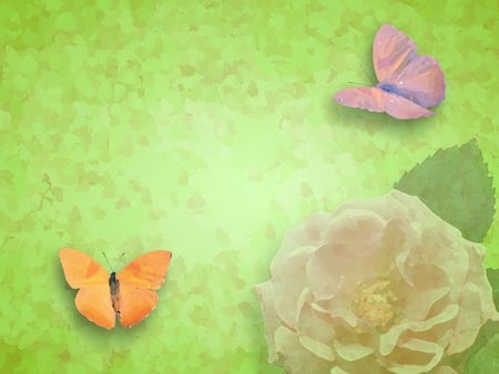 Butterflies - 3d, butterflies