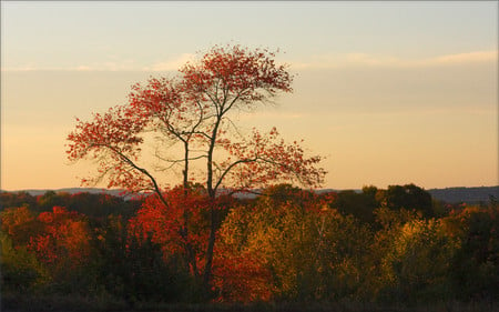 Valley sunset - sunsets, nature