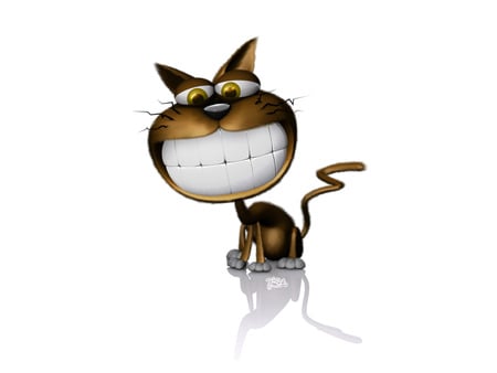 funny cat - 3d, animals