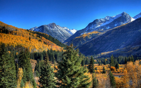 Mountain - fall, trees, winter, nature, peak, snow, mountains