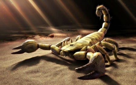 Zodiac ~ Scorpio - fantasy, scorpio, scorpion, tail, zodiac