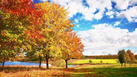 Autumn Landscape - nature, autumn, pond, trees