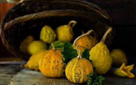 Pumpkins - autumn, basket, yellow, pumpkin