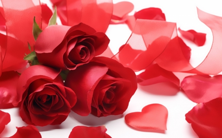 red roses - red, love, passion, roses