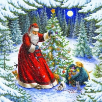 Beautiful santa claus