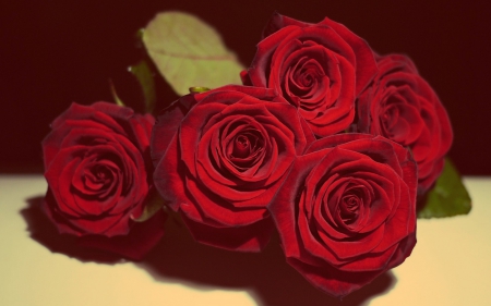 Roses - love, gift, roses, bouquet, present, in love, lovely, still life, romantic, beautiful, romance, flowers, red rose