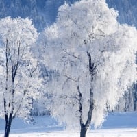 Winter in Salzburg, Austria