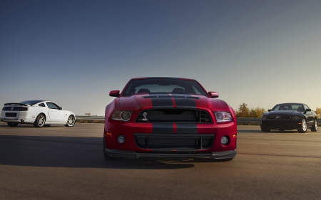 ford shelby gt500 - muscle, shelby, ford, car