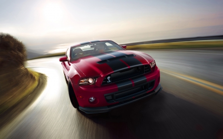 ford shelby gt500 - shelby, ford, muscle, car