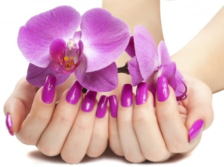 Hands - flowers, orchid, purple, hands