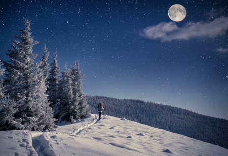 Travel In Winter Mountains - clouds, moon, trees, winter, person, fir, stars, man, trail, pine, cold, mountains, track, sky