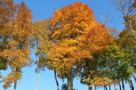 Autumn - nature, fields, autumn, other