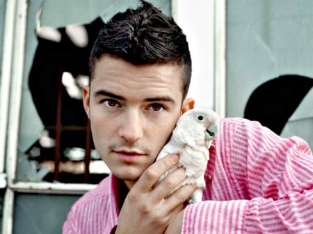 Orlando Bloom - bird, actor, white, cute, parrot, man, pink, Orlando Bloom