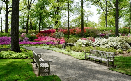 nature - new york, belmont, alley, park, usa, garden