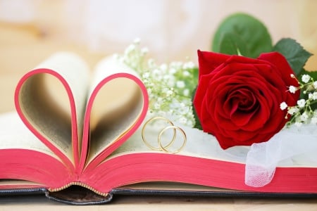 love - love, wedding rings, wedding, heart, flowers, book, rose, gold