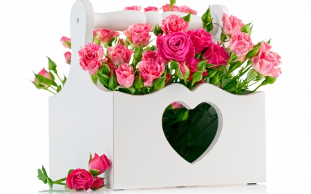 valentine's day - roses, box, love, pink