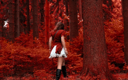 Girl - girl, forest, cap, red