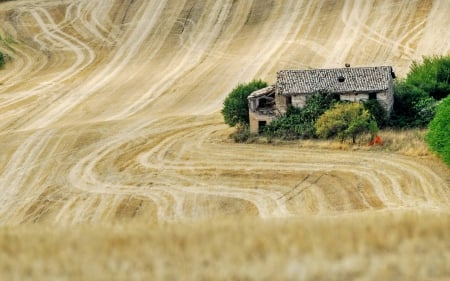 Old Abandoned House in Field - house, houses, nature, fields