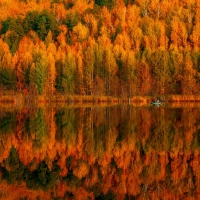 Autumn reflections