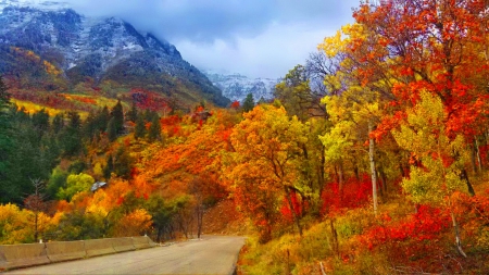 Fall colors - sky, autumn, mountain, trees, road, foliage, mist, fall, beautiful, clouds, colors