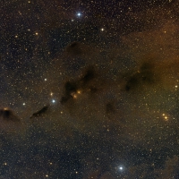 Tauri Wide Field