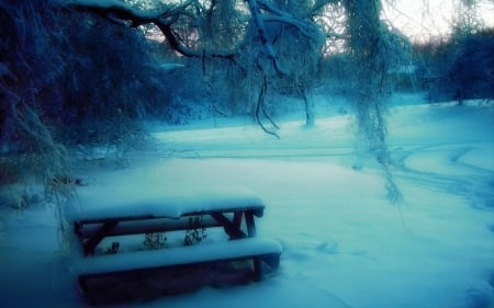 Bench in Winter Park - snow, bench, winter, nature