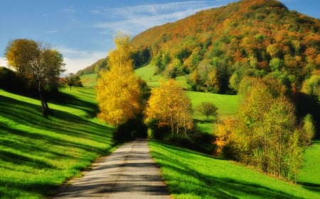 Autumn Landscape - nature, autumn, trees, landscapes