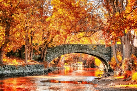 Autumn Bridge - fall, trees, sweden, river, beautiful, grass, bridge