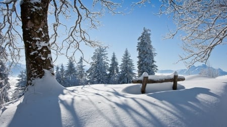 Winter Bench - snow, bench, winter, nature