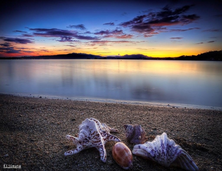 Okinawa - scenery, summer, beach, ocean, shell, japan, nature, okinawa, sky, japanese