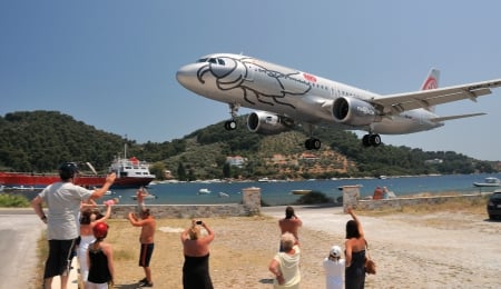 Airbus- A 320 - plane, landing, a320, airbus