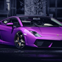 Lamborghini Gallardo in Neon Purple