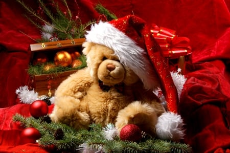 Bear - Santa Claus - holidays, bear, christmas, santa claus