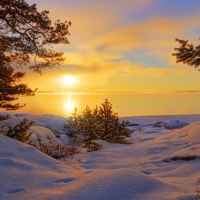 Winter sunrise