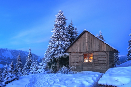 Winter forest - sky, mountain, winter, wood, home, forest, snow, house, cotta, lights