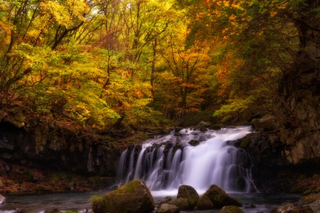 Autumn Forest - autumn, trees, stream, waterfall, rocks, fall, japan, forest, nagano