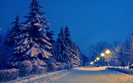 Street on Winter Night - street, night, winter, nature