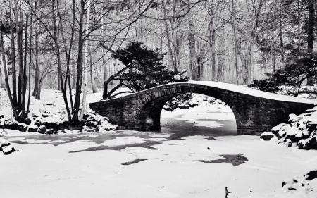 bridges - black, bridges, winter, black and