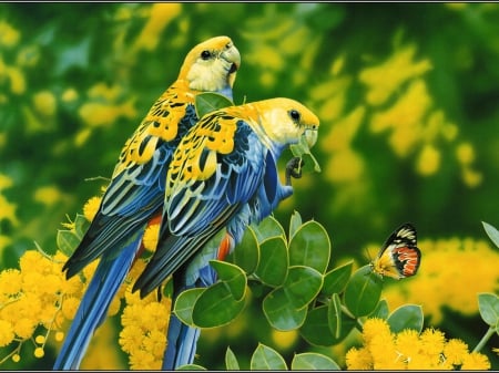 blue parrots - parrots, Zoki, blue, wallpaper