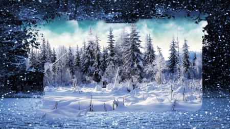 Winter Mirage - forest, sparkle, winter, christmas, blue, woods, trees, glitter, snow