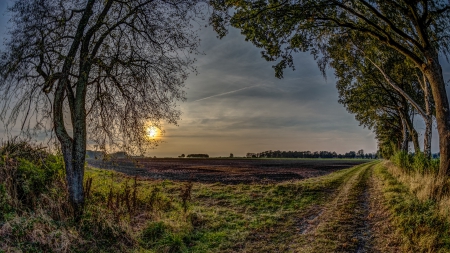 Sunset - farm, sunset, trees, road