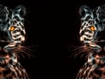 Digital Art Leopards