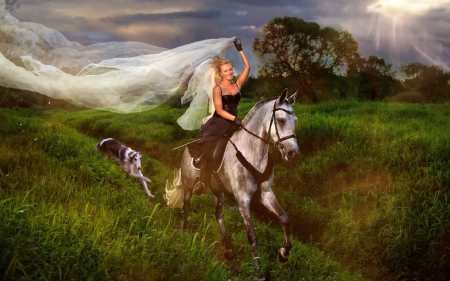 Runaway Cowgirl Bride - clouds, veil, bride, trees, sun rays, dress, blonde, dog, horse, cowgirl, greyhound, rays, field, sun, sky