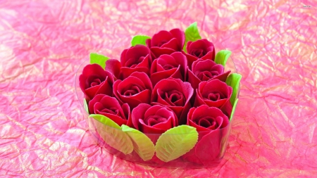 Beautiful Red Roses