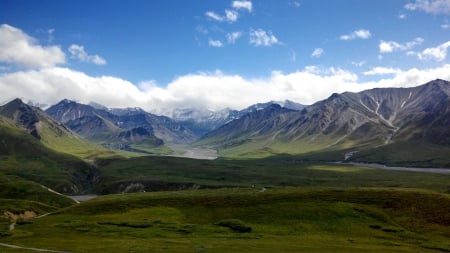 Denali National Park - cool, field, fun, nature, mountain