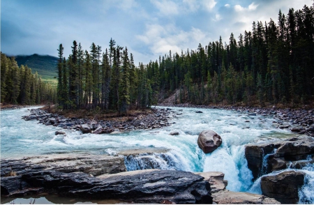 mountain forest - forest, cool, river, fun, nature