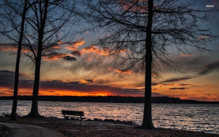 Gorgeous Sunset on the Lake - bench, sunsets, nature, lakes